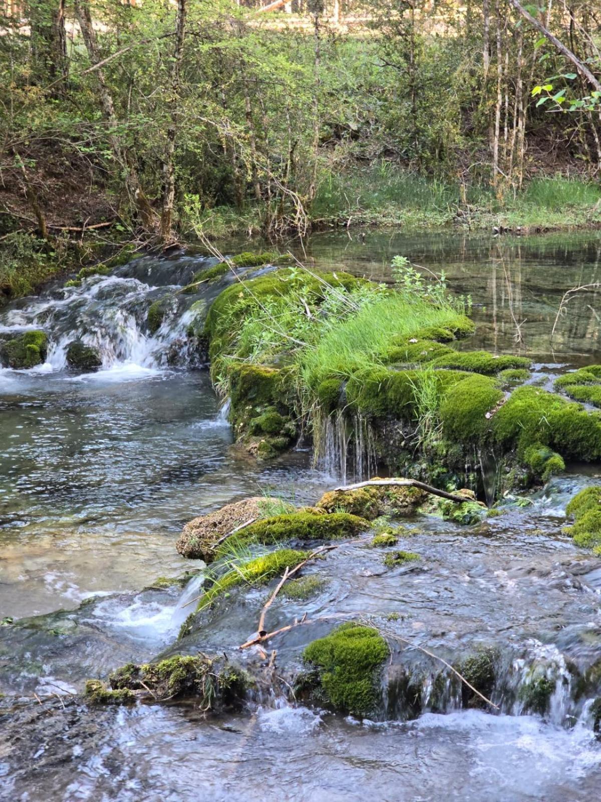 Hostal Rural Alto Tajo Poveda Poveda de la Sierra 外观 照片