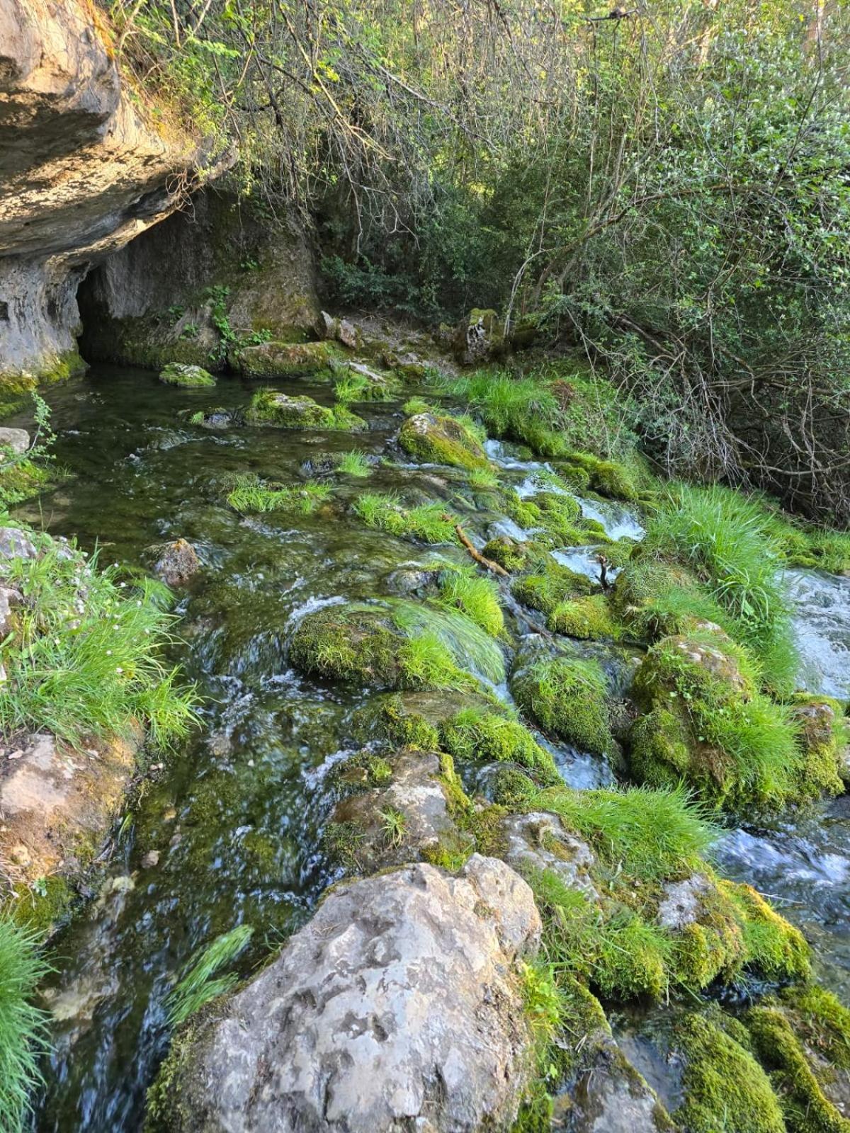 Hostal Rural Alto Tajo Poveda Poveda de la Sierra 外观 照片